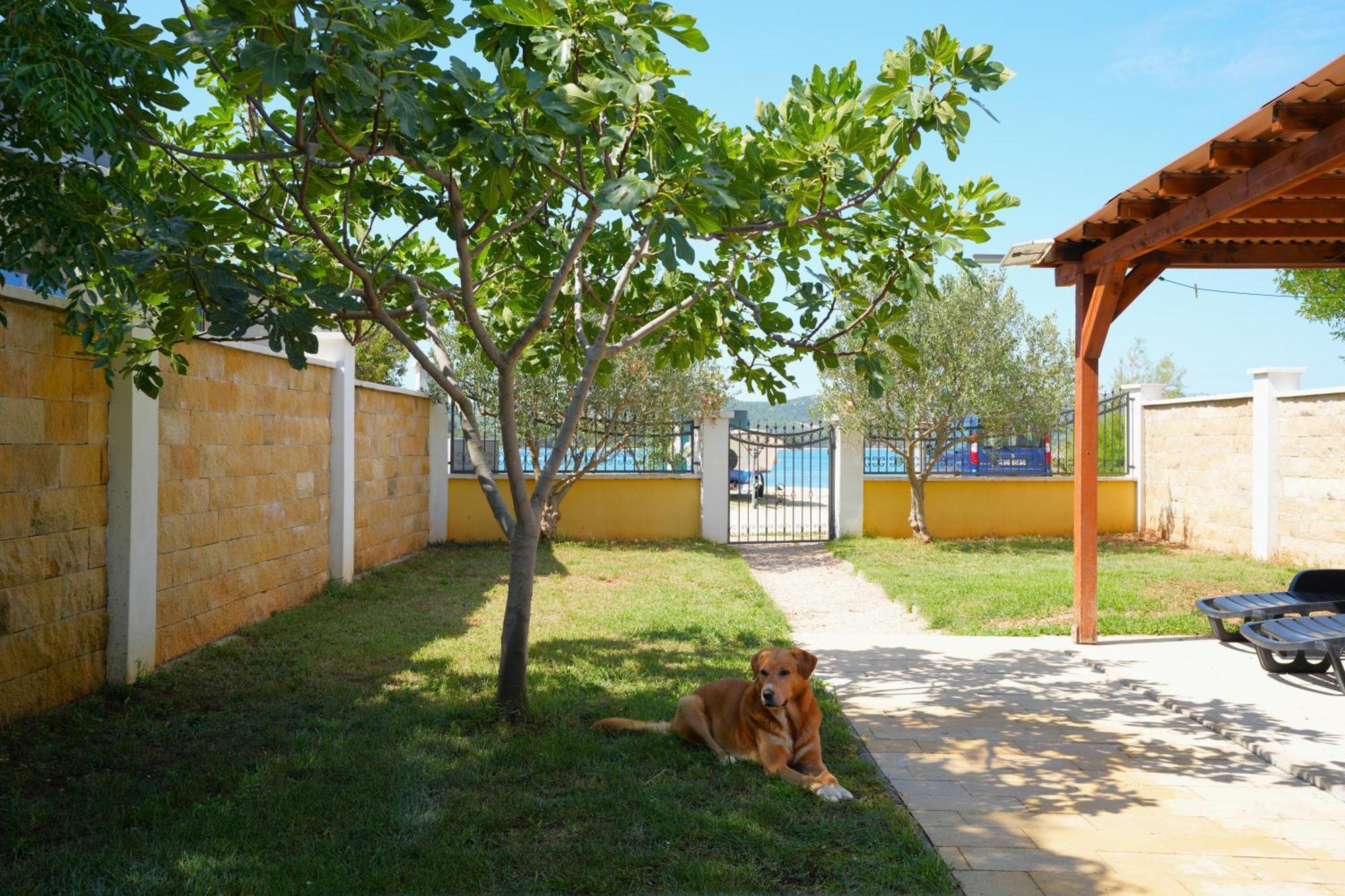 Holiday Home - Beach House 'Amarella' Turanj Bagian luar foto